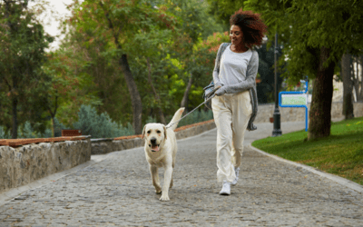 Why Dogs Need Regular Walks for Their Mental Health