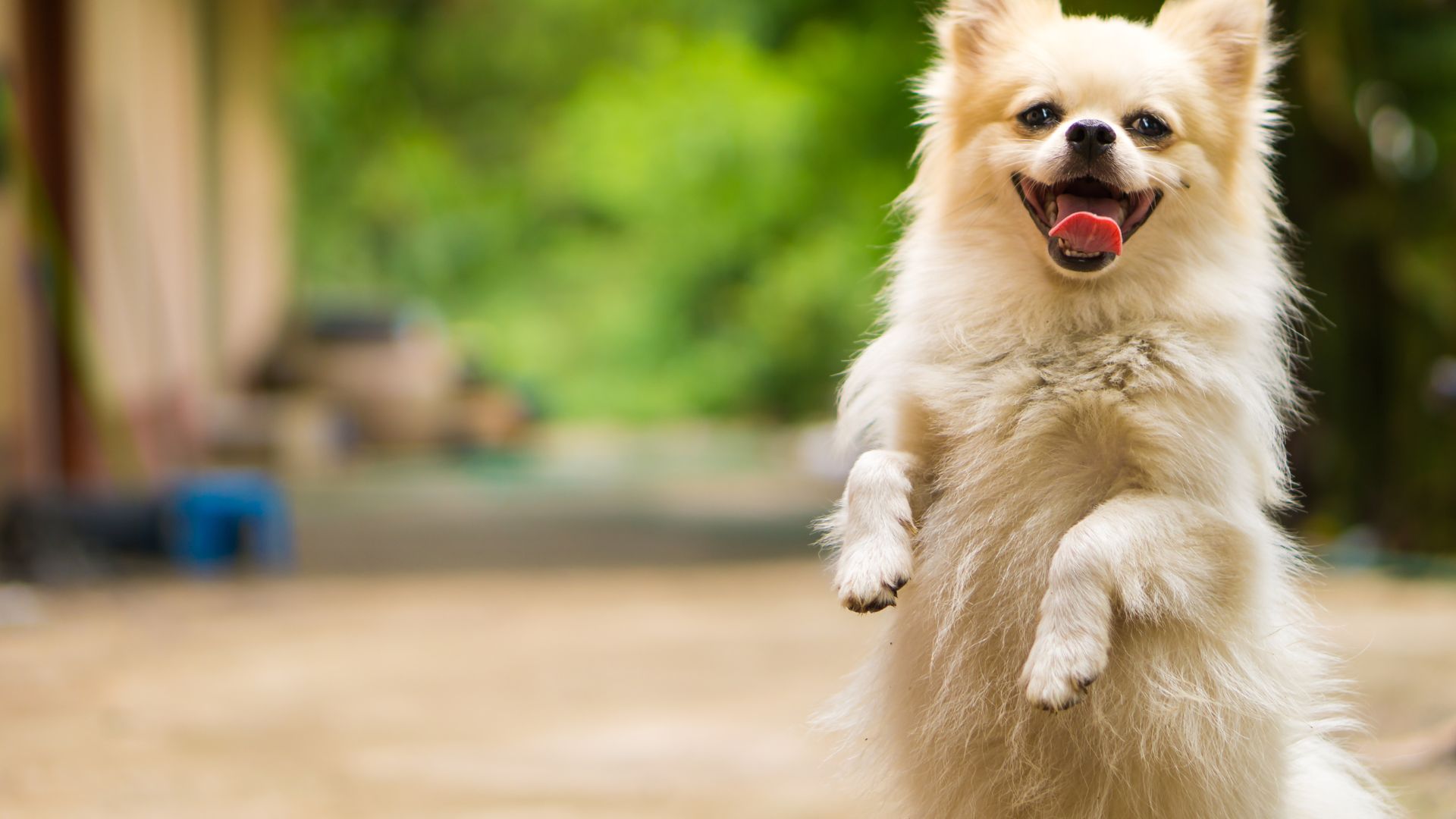 Best Veterinary Hospital In Horse Cave, KY Pike Veterinary Services