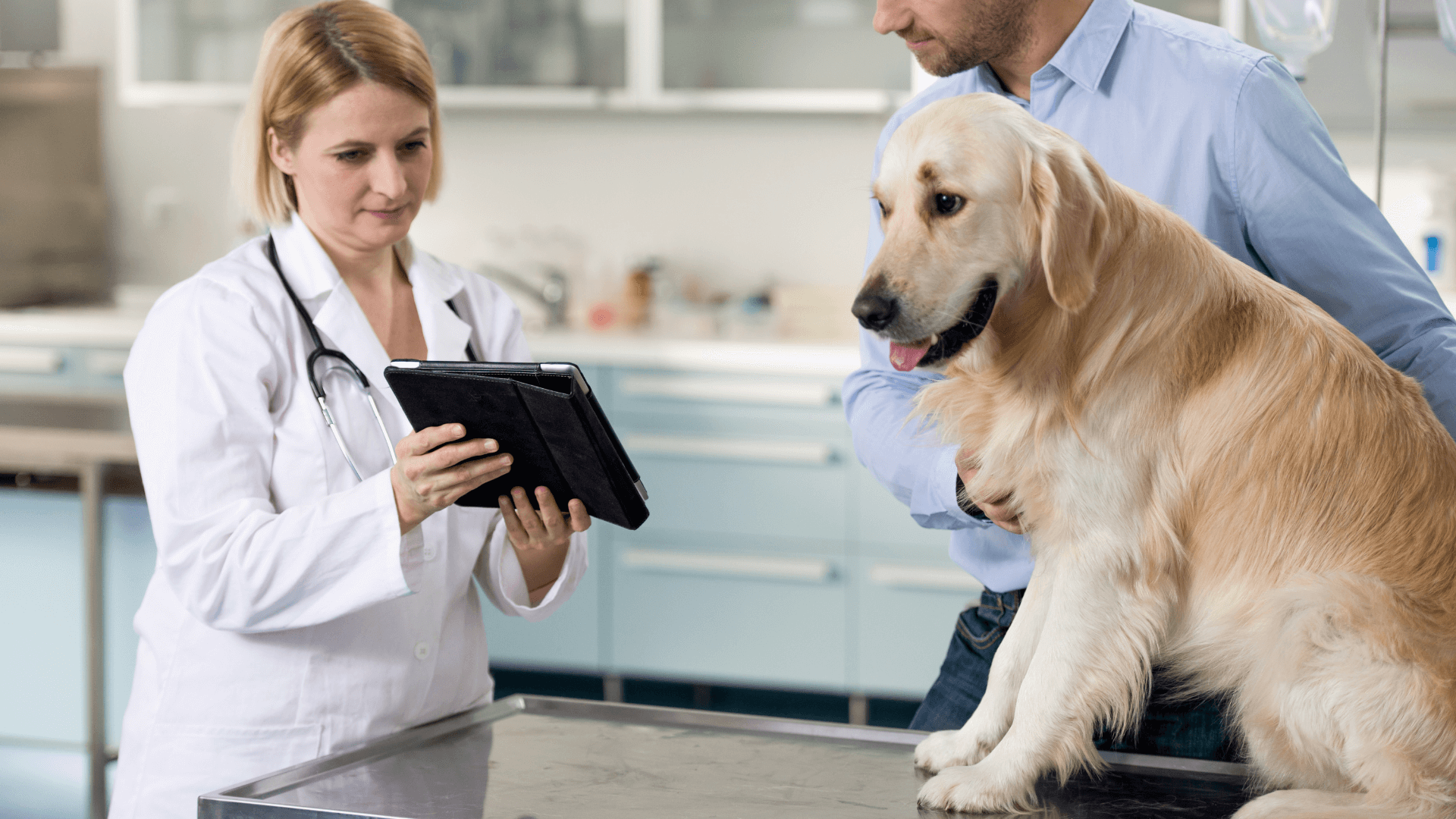 A person and person looking at a dog report