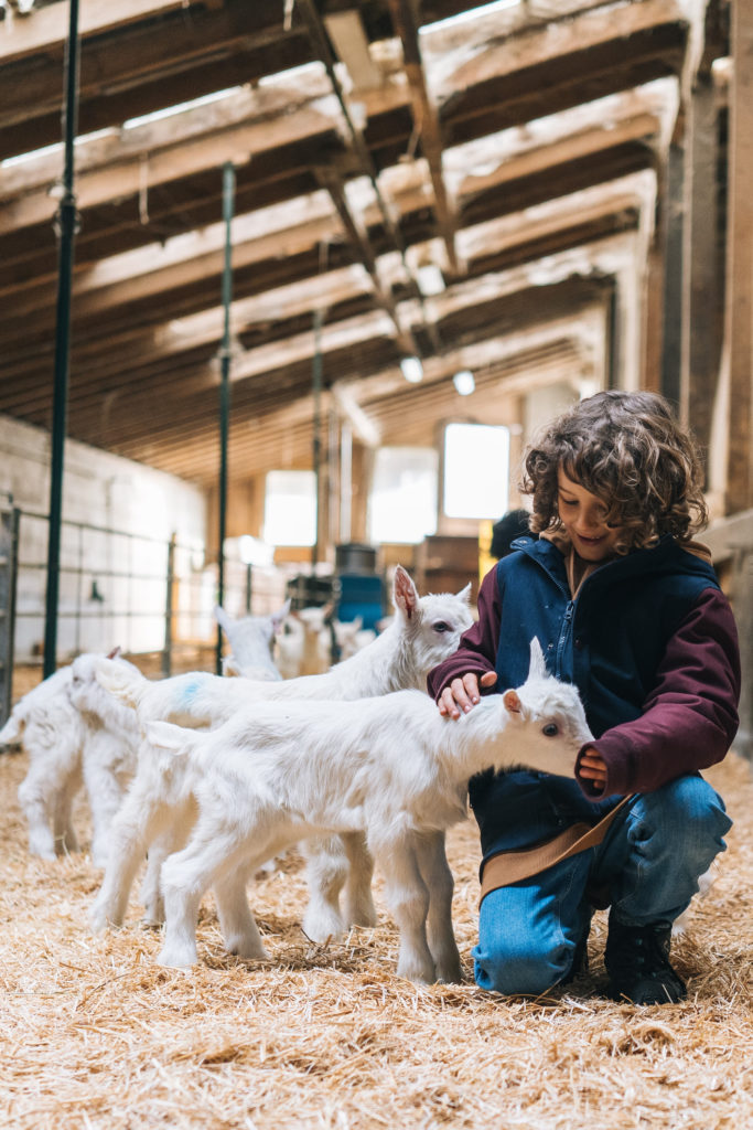 A child petting a goat