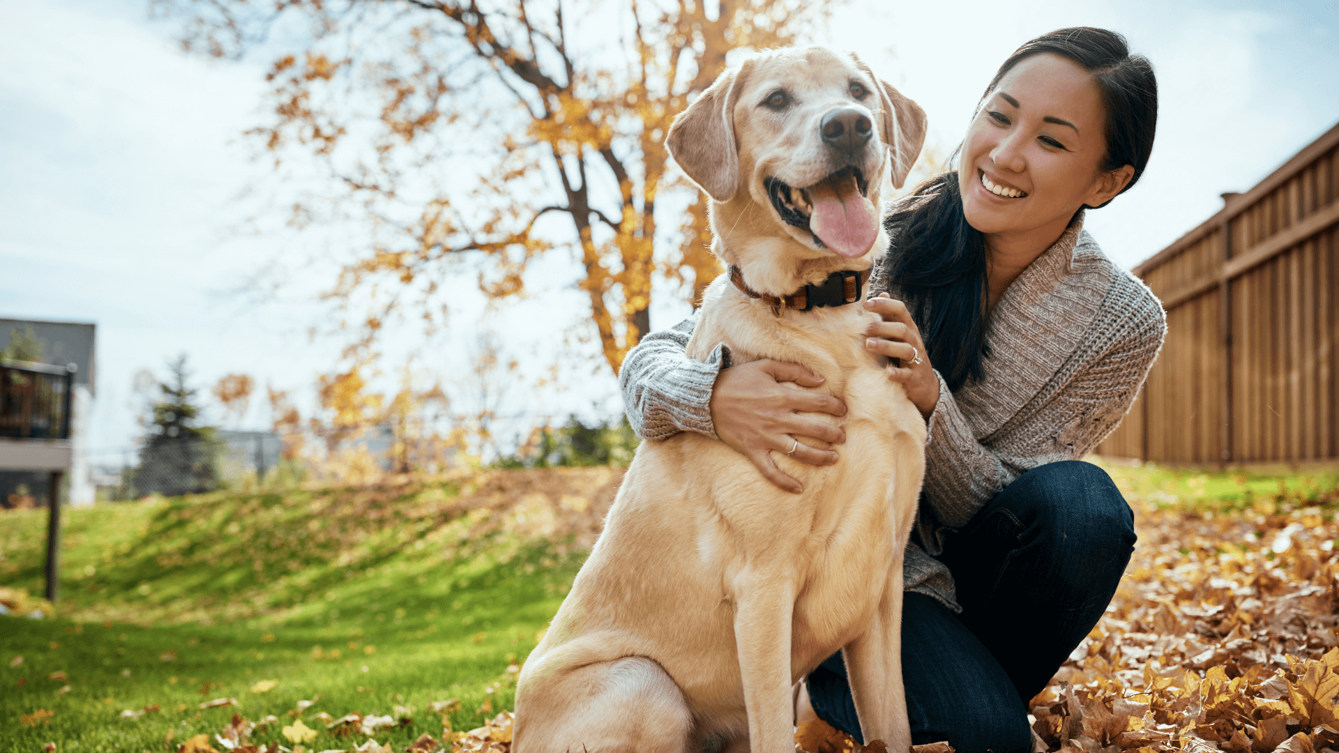 A person sitting with a dog