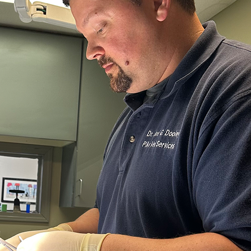 A vet at Pike Veterinary working on an animal